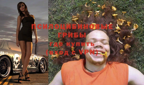 метамфетамин Алексеевка