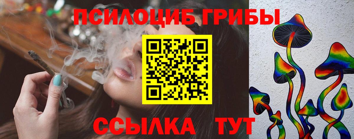 Псилоцибиновые грибы Psilocybe  Вход с VPN  Кохма 
